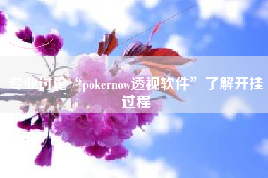 专业讨论“pokernow透视软件”了解开挂过程