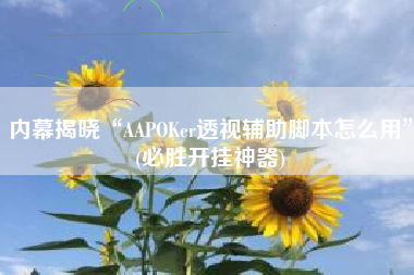 内幕揭晓“AAPOKer透视辅助脚本怎么用”(必胜开挂神器)