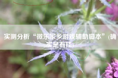 实测分析“微乐家乡游戏辅助脚本”(确实是有挂)