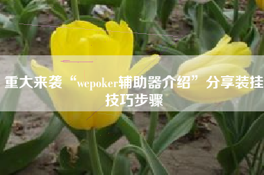 重大来袭“wepoker辅助器介绍”分享装挂技巧步骤