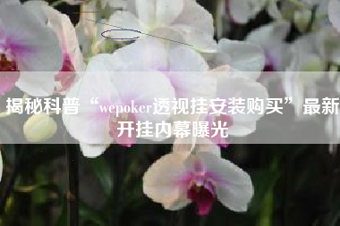 揭秘科普“wepoker透视挂安装购买	”最新开挂内幕曝光
