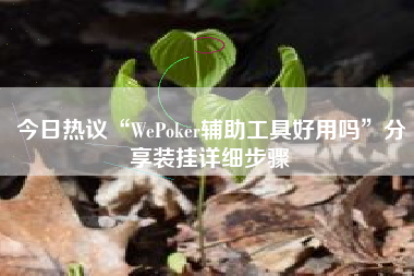 今日热议“WePoker辅助工具好用吗	”分享装挂详细步骤
