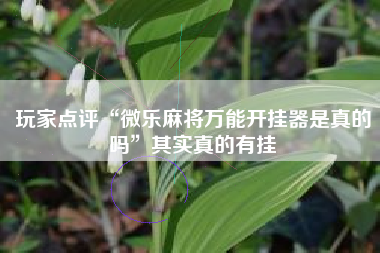 玩家点评“微乐麻将万能开挂器是真的吗”其实真的有挂