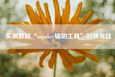 实测教程“aapoker辅助工具”的确有挂