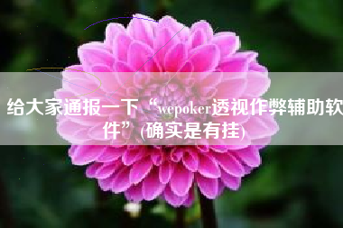 给大家通报一下“wepoker透视作弊辅助软件”(确实是有挂)