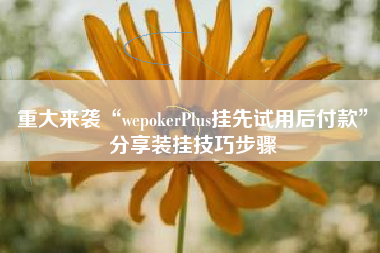 重大来袭“wepokerPlus挂先试用后付款”分享装挂技巧步骤