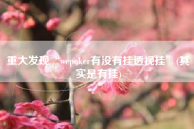 重大发现“wepoker有没有挂透视挂	”(其实是有挂)