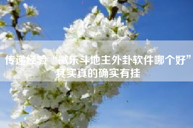 传递经验“微乐斗地主外卦软件哪个好	”其实真的确实有挂