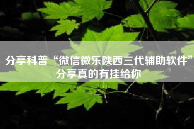 分享科普“微信微乐陕西三代辅助软件	”分享真的有挂给你