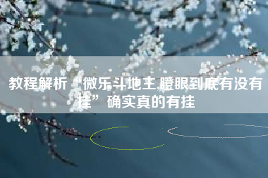 教程解析“微乐斗地主,瞪眼到底有没有挂”确实真的有挂