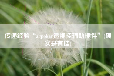 传递经验“agpoker透视挂辅助插件”(确实是有挂)