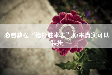 必看教程“德扑胜率表”原来真实可以装挂