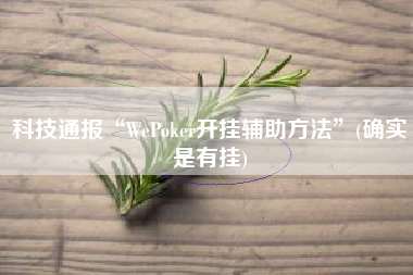科技通报“WePoker开挂辅助方法”(确实是有挂)