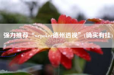 强力推荐“wepoker德州透视	”(确实有挂)