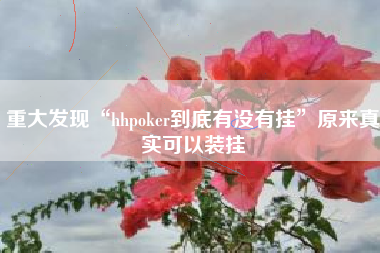 重大发现“hhpoker到底有没有挂	”原来真实可以装挂