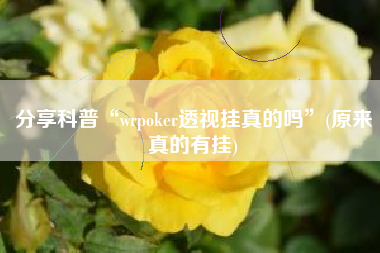 分享科普“wrpoker透视挂真的吗”(原来真的有挂)