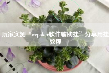 玩家实测“wepoker软件辅助挂”分享用挂教程