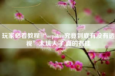 玩家必看教程“wepoker究竟到底有没有透视”太坑人了,真的有挂