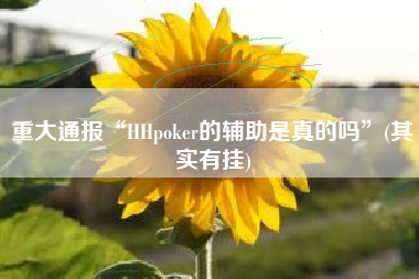 重大通报“HHpoker的辅助是真的吗	”(其实有挂)