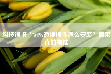 科技通报“WPK透视插件怎么安装”原来真的有挂