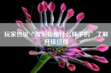 玩家热议“微乐挂是什么样子的”了解开挂过程