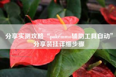 分享实测攻略“pokemmo辅助工具自动”分享装挂详细步骤