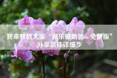 我来教教大家“微乐辅助器ios免费版”分享装挂详细步
