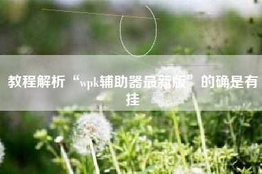 教程解析“wpk辅助器最新版”的确是有挂