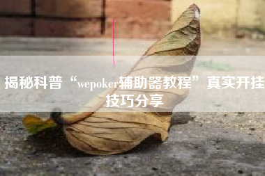 揭秘科普“wepoker辅助器教程”真实开挂技巧分享