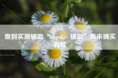 查到实测辅助“wepoker 辅助	”原来确实有挂